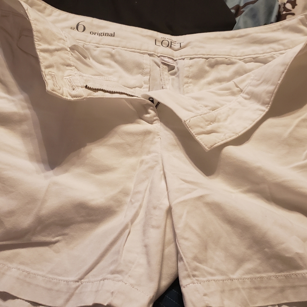 Ann taylor Loft shorts